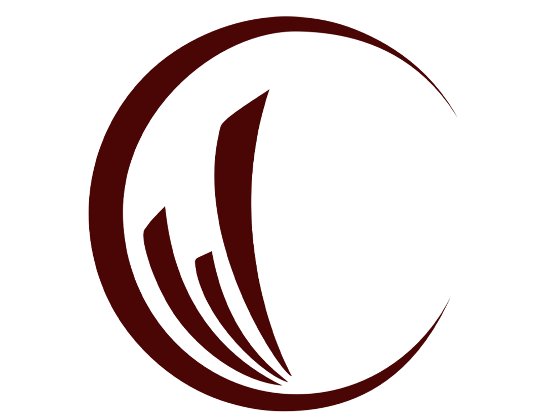 WLV Seguros
